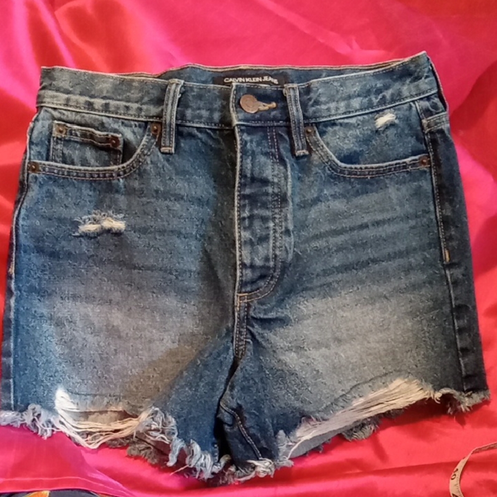 Calvin Klein Jean Shorts Size 26 (Size 2 Or S)